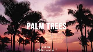 West Coast RnB Beat | PALM TREES | Ty Dolla Sign type Beat, Summer Walker type Beat