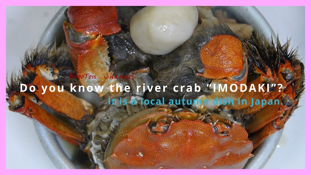 Do you know Japanese river crabs? YouTube