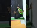 Purna Bhujanga Asana With Wall Support Backbending Bhujangasana Yoga Purna Bhujanga Asana With Wall Support Backbending Bhujangasana Yoga
