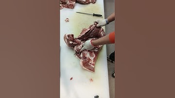 Technique for complete separation of bones in pig forelegs