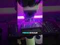 Obsevamos un VIDEO donde se OBSERVA otro video Bajo El Microscopio 🔬 thumbnail