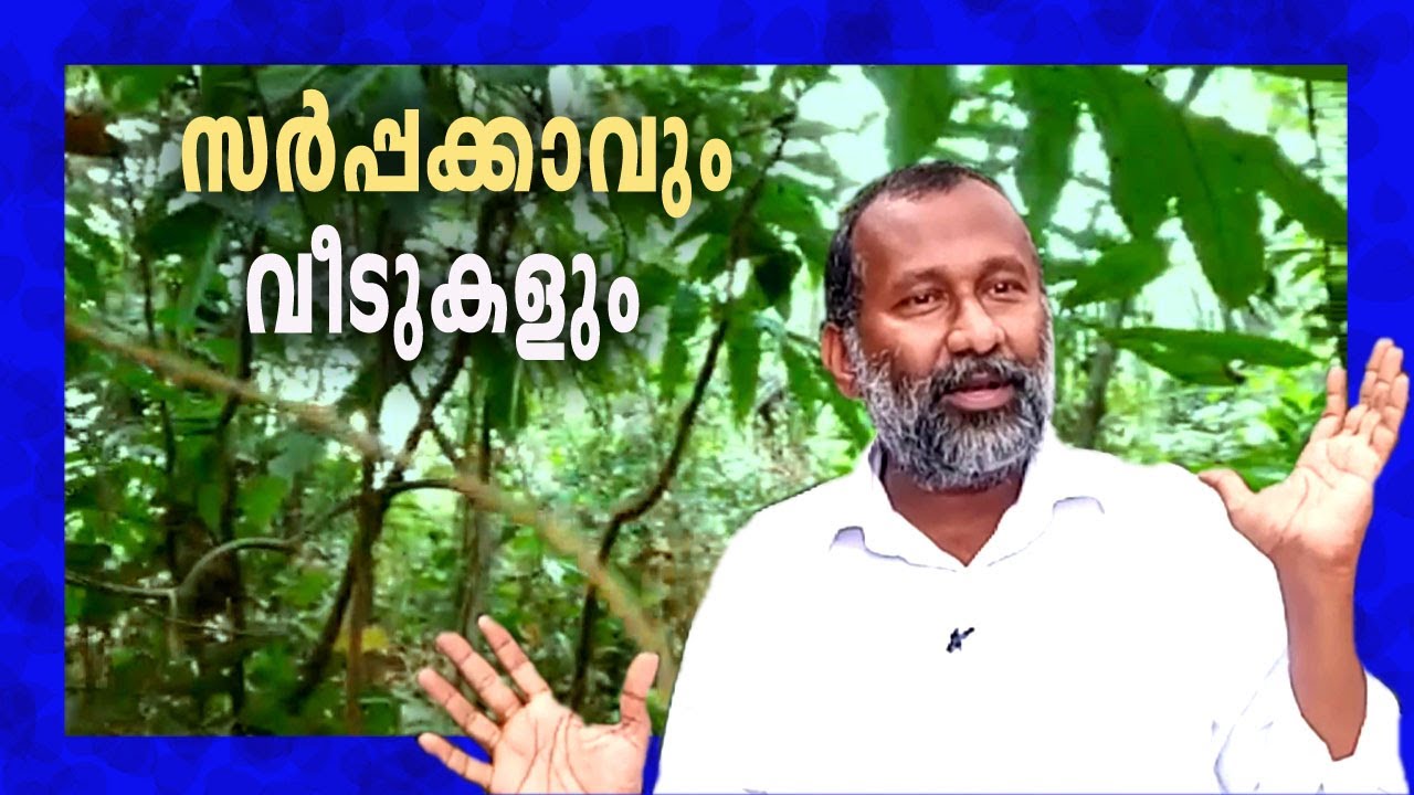 Sarppakavu / Nature homes