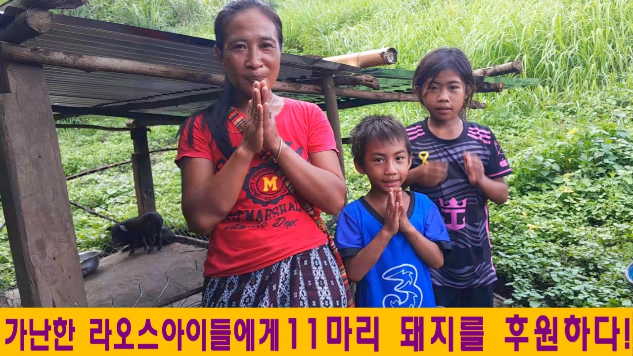 깨오1마을(18):가난한 라오스아이들에게 11마리의 돼지를 후원한 한국인(홍금만님 후원)