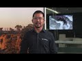 Understanding Heatwaves
