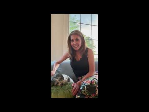 Tyrone and Karissa - video from Lofty Pet