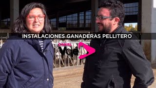 INSTALACIONES GANADERAS PELLITERO (Desafío Frisona 2019)