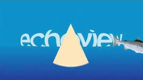 Who is Echoview Software?