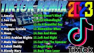 BEST TIKTOK VIRAL REMIX 2023 || AMELIA || TIKTOK BUDOTS DISCO DANCE REMIX . . DJ SANDY
