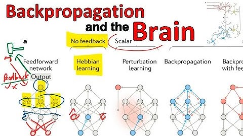 Backpropagation and the brain