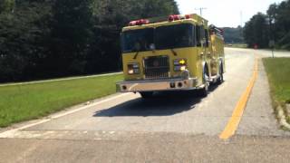 Sdfd Mad