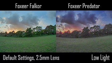Foxeer Falkor vs. Predator FPV Camera Comparison