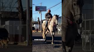 AMEALCO PUEBLO MAGICO, QUERETARO, MEXICO. #kennyrogers