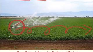 Interacting with the Environment- Ukraine's Steppe Region Interacting with the Environment- Ukraine's Steppe Region