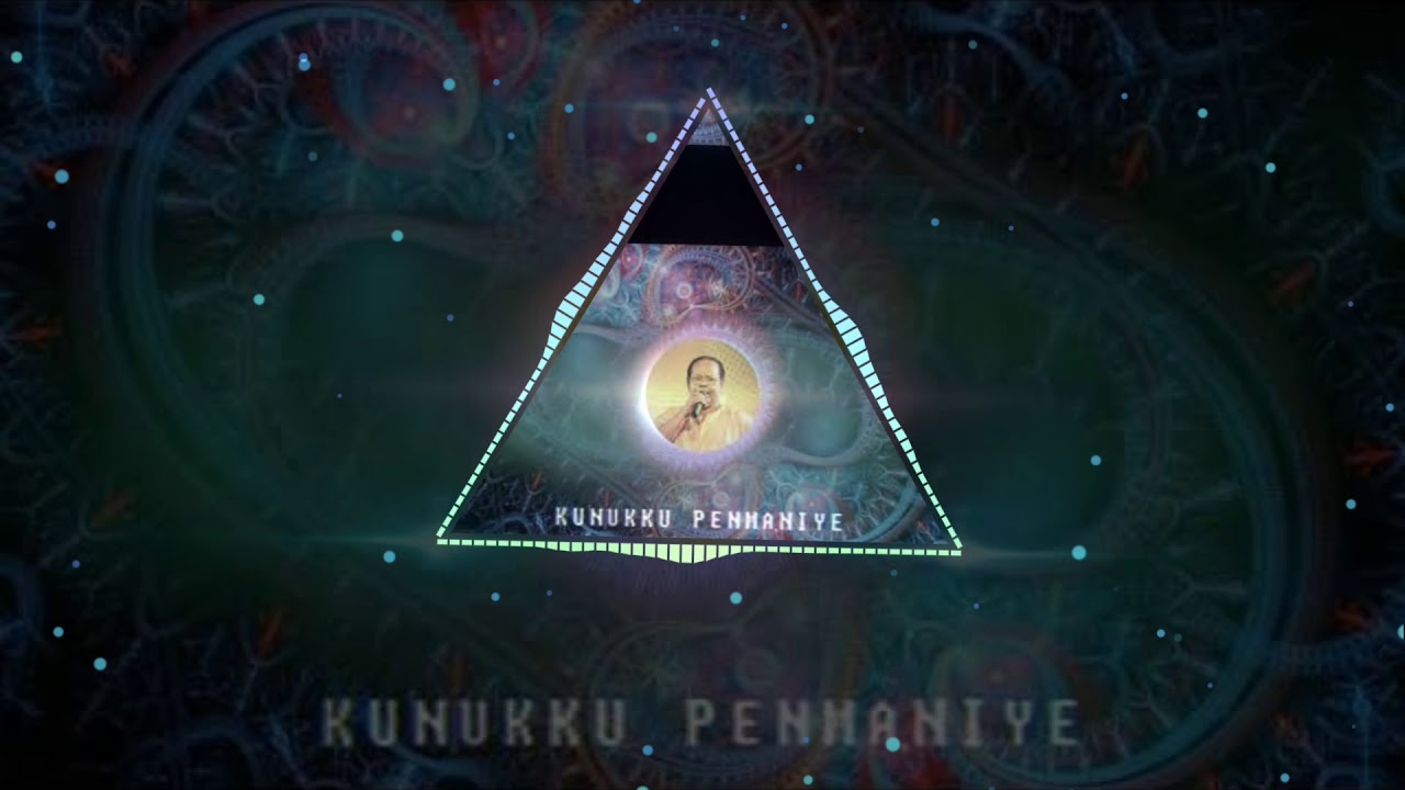 Kunukku Penmaniye  song Malayalam dj remix  dj remix songs explained in Malayalam