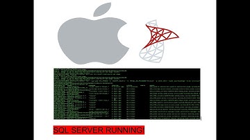 SQL Server on MAC M1/M2: Part 2 - Configure SA Password & Run Your First Query via Terminal
