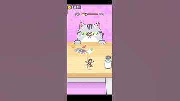 Hide and seek Cat Escape #catescape #fungame #bestgame #youtubeshorts #gaming