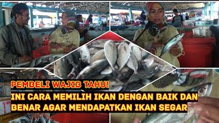 PEMBELI WAJIB TAHU, INI CARA MEMILIH IKAN DENGAN BAIK DAN BENAR AGAR MENDAPATKAN IKAN SEGAR