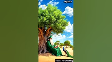 Story of the Qalandar and the hunter" 🤷‍♂️😔#ai #stories #youtubeshorts