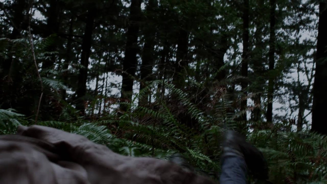 Mira The Lonely Forest - We Sing In Time (Official Video) en YouTube Mira The Lonely Forest - We Sing In Time (Official Video) en YouTube