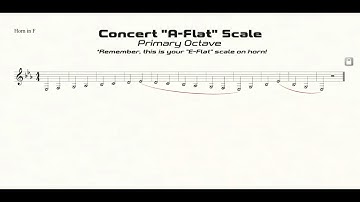 F Horn Eb Scale Practice in Half Notes (primary octave)