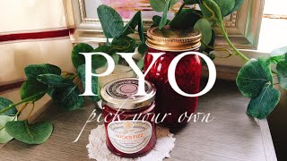 Pyo Harvest In Garsons & Making Jam London Beginner Wife