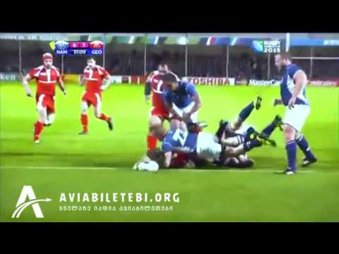 ბორჯღალოსნებისთვის შექმნილი ვიდეო აუცილებლად უყურეთ