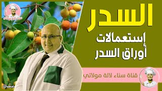 إستعمالات أوراق السدر | الدكتور عماد ميزاب Dr imad mizab