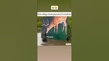 How college shows placement to students 😂 #shortvideo #ytshorts #trending #comedy #funny #viral