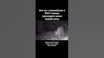 Ты в РАСТ  #rust #gameplay #игры #gaming #shorts