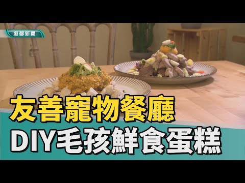 友善寵物餐廳一起來|友善寵物空間 提供毛孩和家長們安心用餐環境