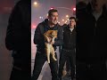 Angry man kidnapped a cat