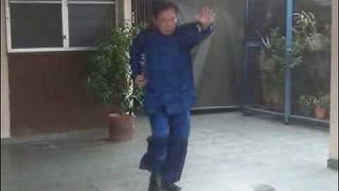 嘿虎偷心拳   Black Tiger Steals Heart