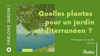 Quelles plantes pour un jardin méditerranéen ?