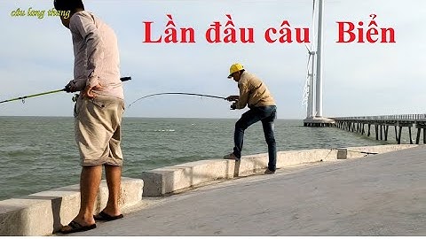 Trải nghiệm - Lần đầu câu cá Ngát ở Trụ Điện Gió - Tập 1...