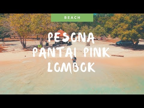Pesona Pantai Pink Lombok AKA Pink Beach Lombok Timur!