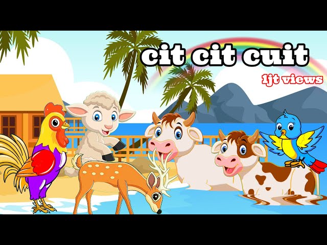 cit cit cuit - suka hati ❤💞 lagu anak indonesia viral - lagu anak anak class=