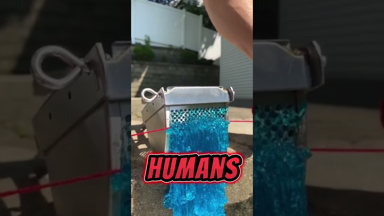 Understanding Your Cat's Special Language: Feline Meows and Human Communication