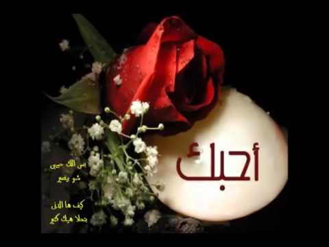 أحبك أنا ماجدة الرومي