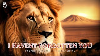 I haven't forgotten you: Powerful worship music instrumental prophetic music