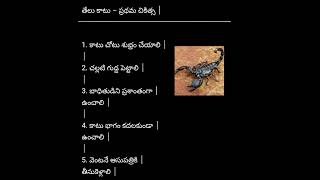 తేలు కాటుకు వెంటనే చేయాల్సిన 5 పనులు #wildlife#wild#poison#scorpion#science#hospital#show#shorts