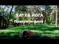 Хатха йога. Потоковая практика. Пракрити-флоу. Продолжающий уровень. 58 мин