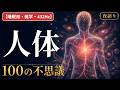 【睡眠用・雑学・432Hz・途中広告なし】人体の不思議100選 — 眠れない夜の人体夜語り