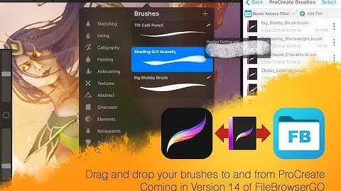 How to Import and Export brushes with ProCreate