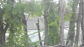 DSCN0368
