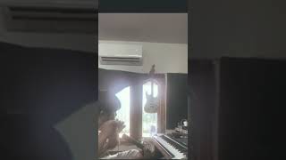 ປີ່ຜູ້ໄທອາໄລຮັກ