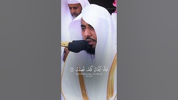 سورة الغاشية بصوت شيوخ الحرم المكي 😍❤️#ماهرالمعيقلي #ياسر_الدوسري #بندر_بليلة #عبدالرحمن_السديس # 