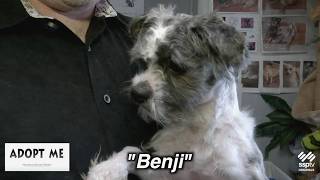 Hazleton Animal Shelter's Adopt Me - May 23, 2026