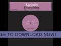 Kaskade Everything Big Room Anthems Remix mp3