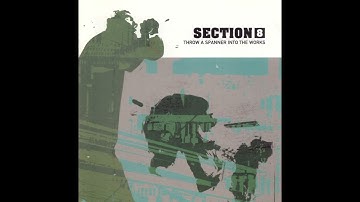 Section 8 - S8