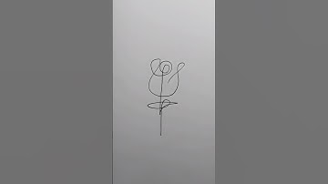 one line rose drawing #soniartz